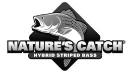 NATURE'S CATCH HYBRID STRIPED BASS trademark