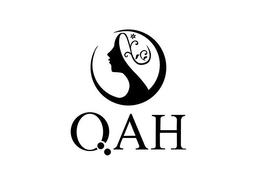 QAH trademark