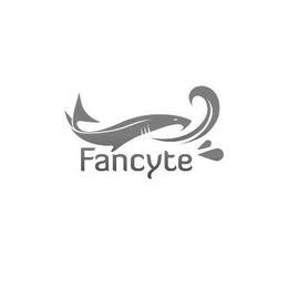FANCYTE trademark