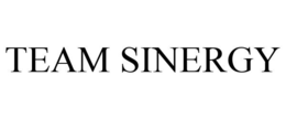 TEAM SINERGY trademark