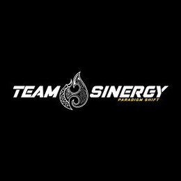 TEAM SINERGY PARADIGM SHIFT trademark