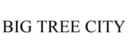 BIG TREE CITY trademark