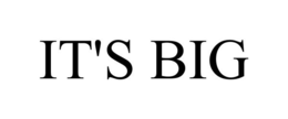 IT'S BIG trademark