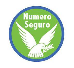 NUMERO SEGURO trademark