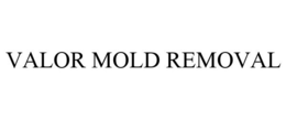 VALOR MOLD REMOVAL trademark