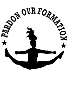 PARDON OUR FORMATION trademark