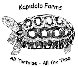 KAPIDOLO FARMS ALL TORTOISE - ALL THE TIME trademark