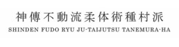 SHINDEN FUDO RYU JU-TAIJUTSU TANEMURA-HA trademark