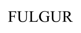 FULGUR trademark