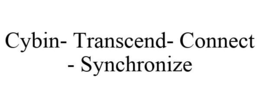 CYBIN- TRANSCEND- CONNECT - SYNCHRONIZE trademark