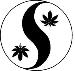 S trademark