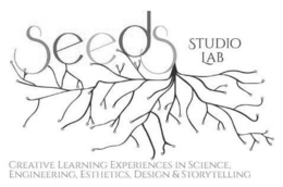SEEDS STUDIO LAB CREATIVE LEARNING EXPERIENCES IN SCIENCE, ENGINEERING, ESTHETICS, DESIGN & STORYTELLING trademark
