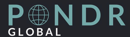 P NDR GLOBAL trademark