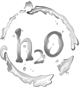 H2O trademark