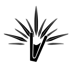 V trademark