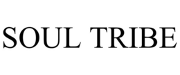 SOUL TRIBE trademark
