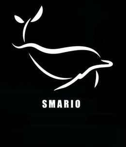 SMARIO trademark