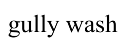 GULLY WASH trademark