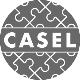 CASEL trademark