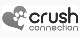 CRUSH CONNECTION trademark