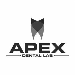 APEX DENTAL LAB trademark