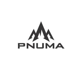 PNUMA trademark