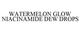 WATERMELON GLOW NIACINAMIDE DEW DROPS trademark