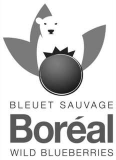 BLEUET SAUVAGE BORÉAL WILD BLUEBERRIES trademark