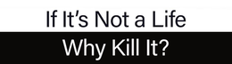 IF IT'S NOT A LIFE WHY KILL IT? trademark