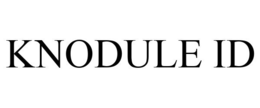 KNODULE ID trademark