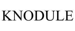KNODULE trademark