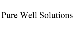 PURE WELL SOLUTIONS trademark