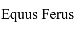 EQUUS FERUS trademark