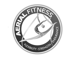 AERIAL FITNESS FLEXIBILITY STRENGTH ENDURANCE trademark