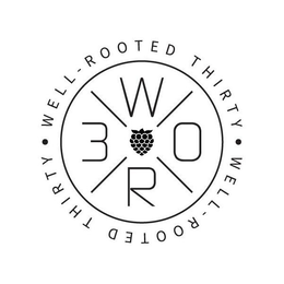 WELL-ROOTED THIRTY WELL ROOTED THIRTY WR 30 trademark
