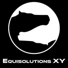 EQUISOLUTIONS XY trademark