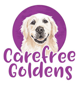 CAREFREE GOLDENS trademark