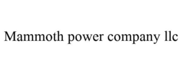 MAMMOTH POWER COMPANY LLC trademark