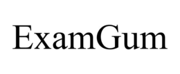 EXAMGUM trademark