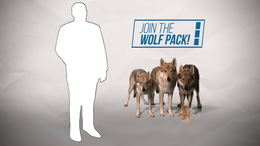 JOIN THE WOLF PACK! trademark
