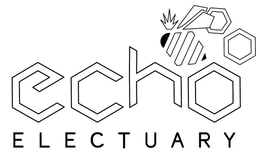 ECHO ELECTUARY trademark