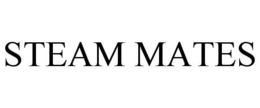 STEAM MATES trademark