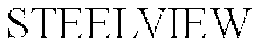 STEELVIEW trademark