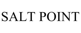 SALT POINT trademark