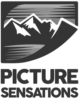 PICTURE SENSATIONS trademark