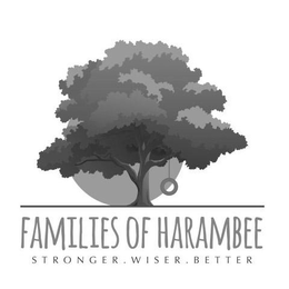 FAMILIES OF HARAMBEE STRONGER. WISER. BETTER trademark
