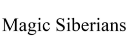 MAGIC SIBERIANS trademark