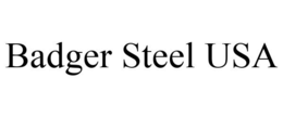 BADGER STEEL USA trademark