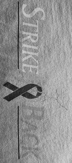 STRIKE BACK trademark
