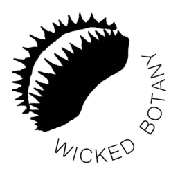 WICKED BOTANY trademark